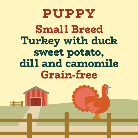 Grain-Free Puppy Food | Turkey & Duck Small Breed - Small Breed Grain Free Puppy Food With Coconut Oil
